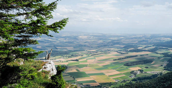 Immagine simbolica per la pianificazione territoriale - vista da una collina sul paesaggio con i suoi campi coltivati.