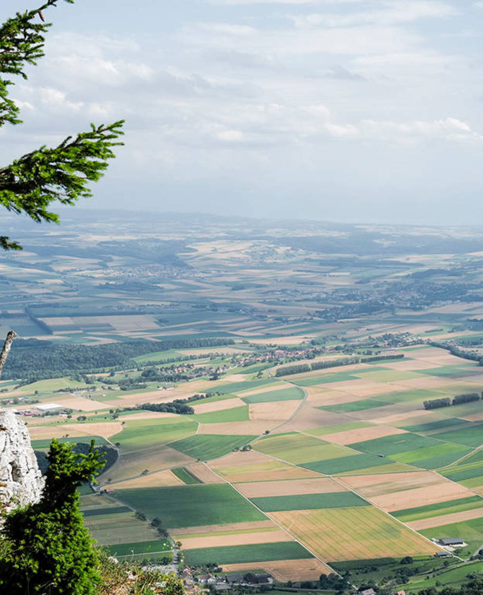 Immagine simbolica per la pianificazione territoriale - vista da una collina sul paesaggio con i suoi campi coltivati.